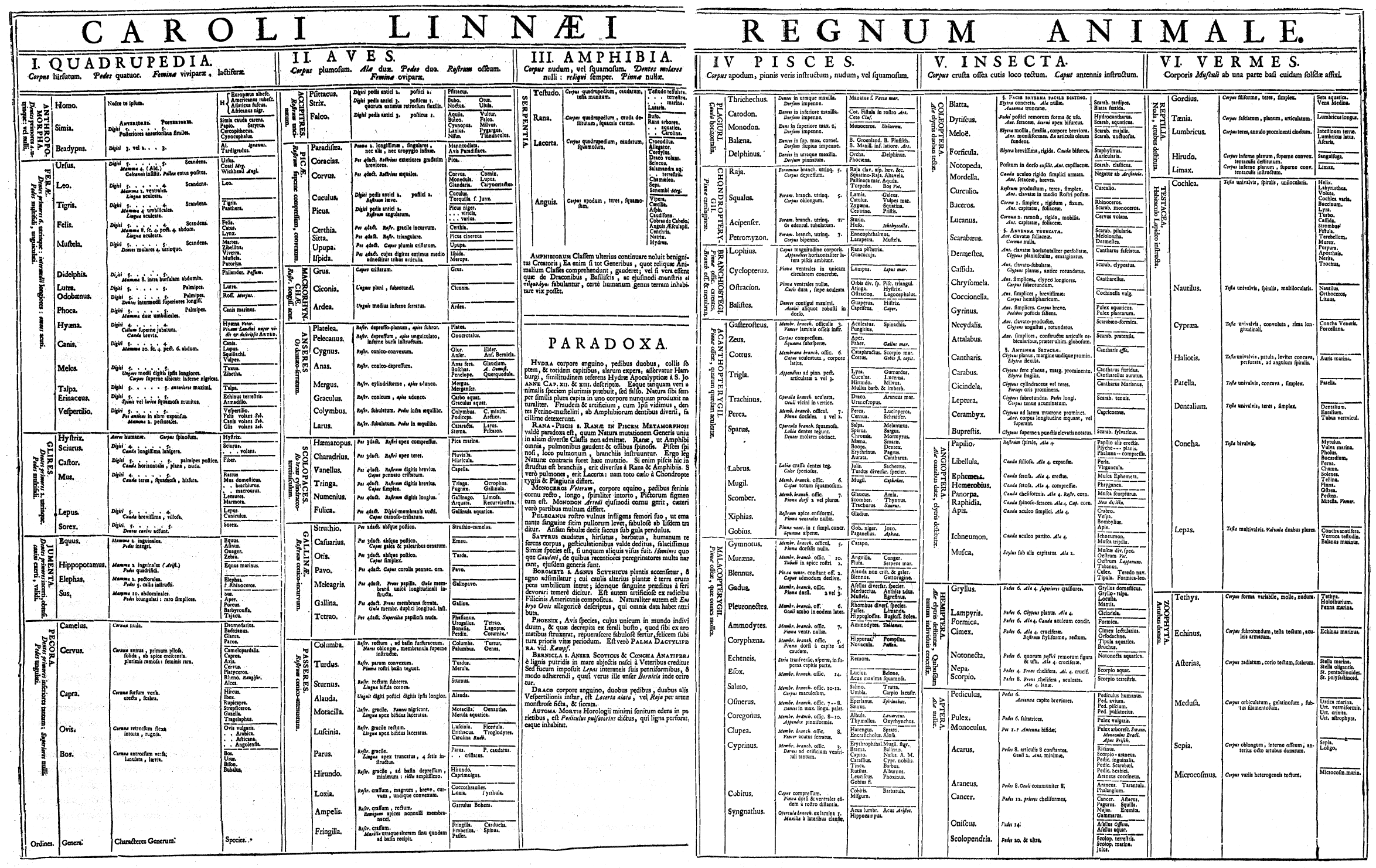 The Animal Kingdom (Regnum Animale) from Linnaeus's Systema Naturæ (1735) — many forms cohering into a single ordered system.
