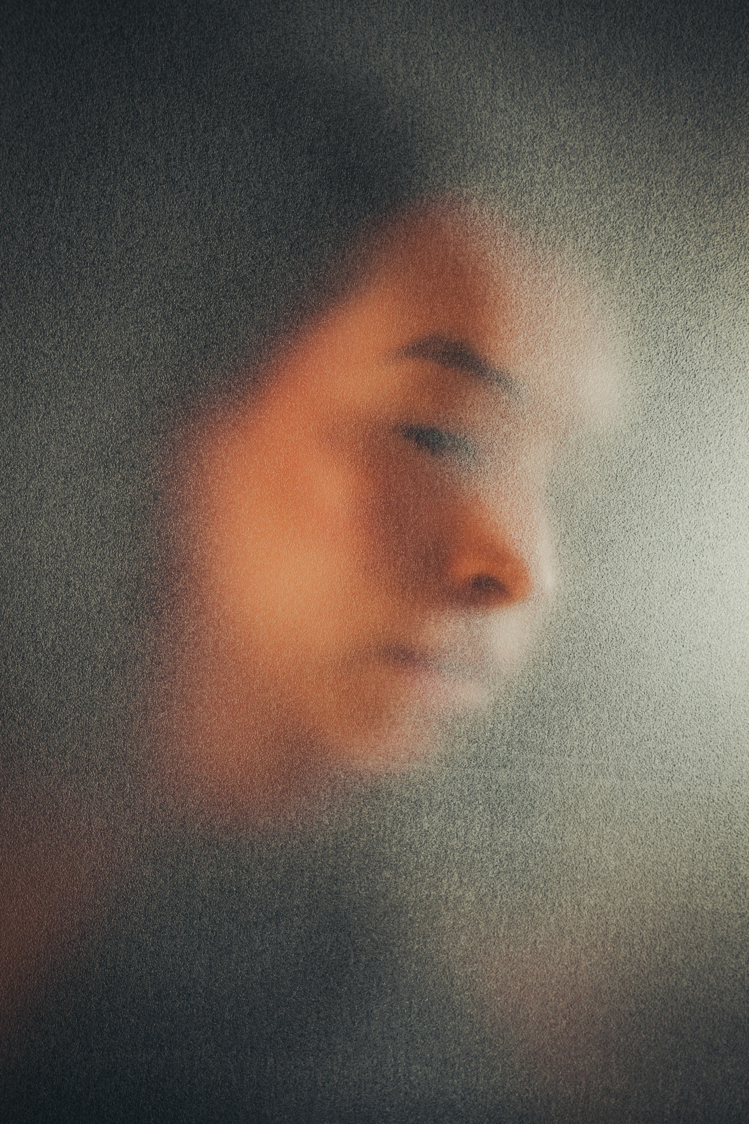 A silhouette against soft light, the shape clear but the detail gone.