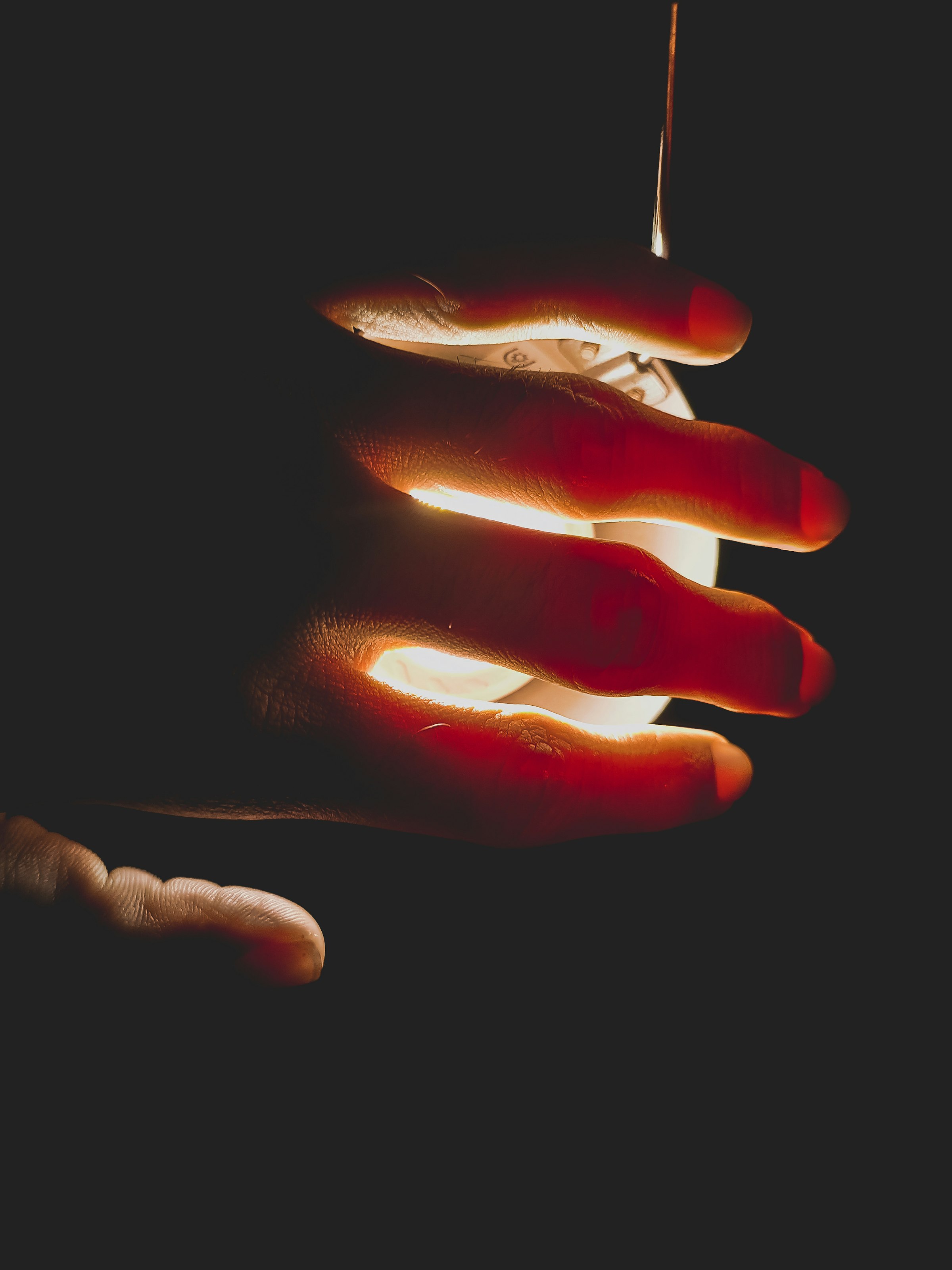 A hand holding a phone, the screen lit, the rest of the frame quiet.